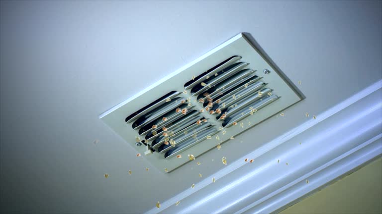 Best Home Air Vent Cleaning  in Heyville, AL
