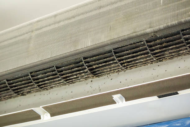 Best Affordable Air Duct Cleaning  in Heyville, AL